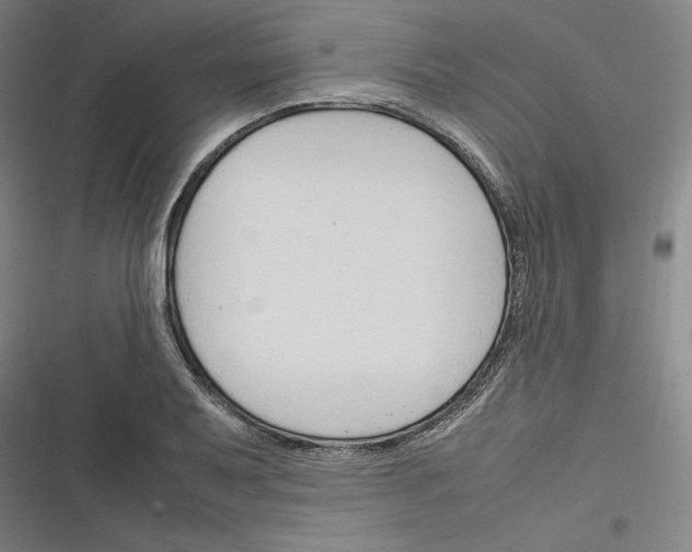 X0000116311079201001111133