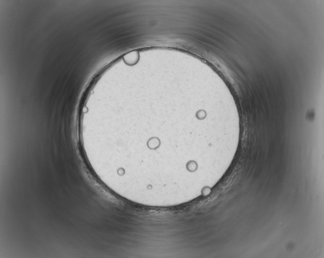 X0000116311080201001111133