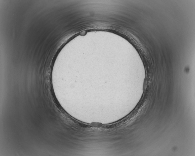 X0000116311081201001111133