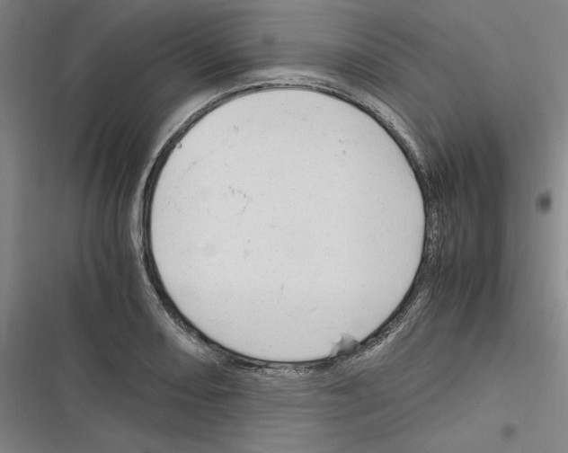 X0000116311082201001111133