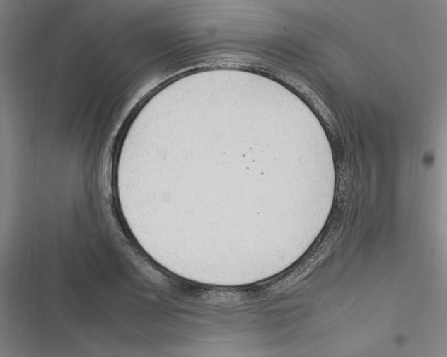 X0000116311083201001111133