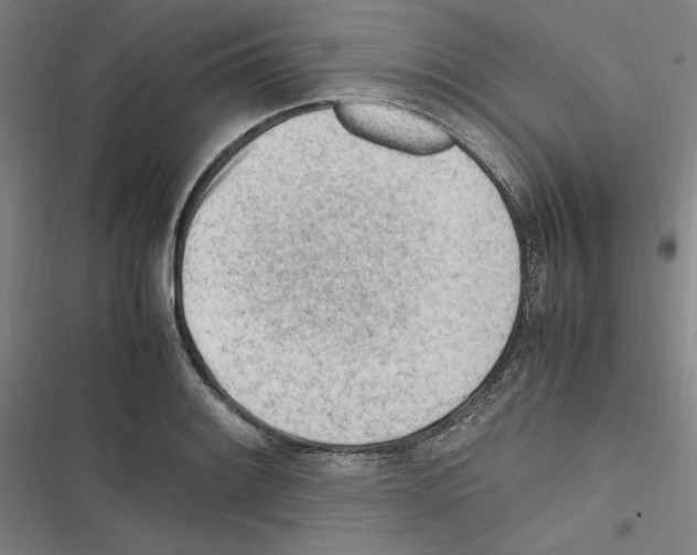 X0000116311084201001111133