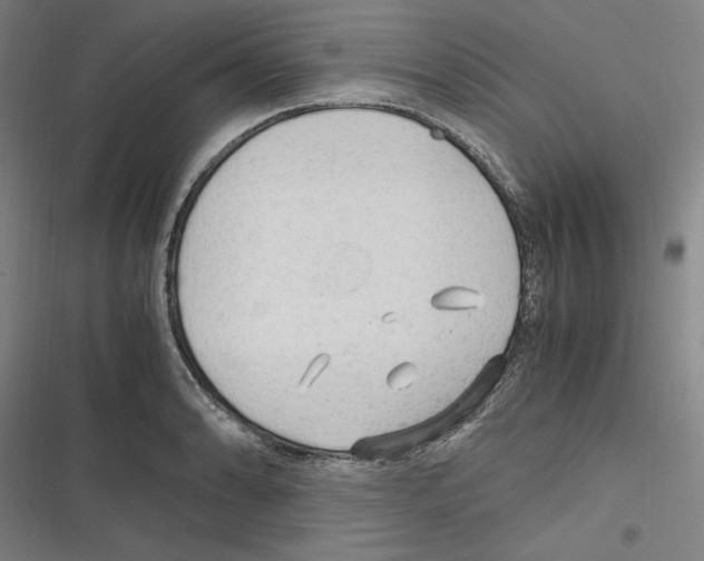 X0000116311086201001111133