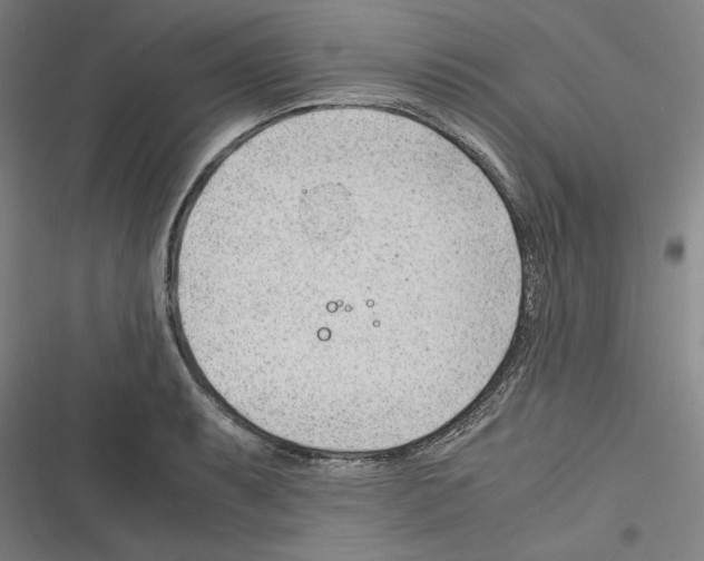 X0000116311087201001111133