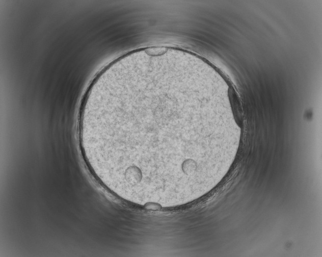 X0000116311088201001111133