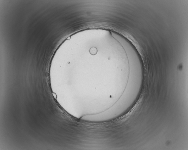 X0000116311089201001111133