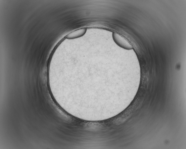 X0000116311092201001111133