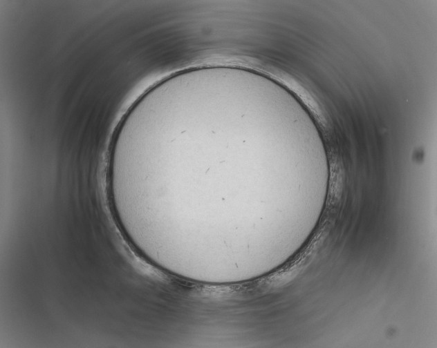 X0000116311094201001111133