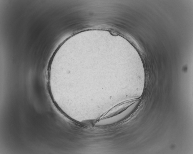 X0000116311095201001111133