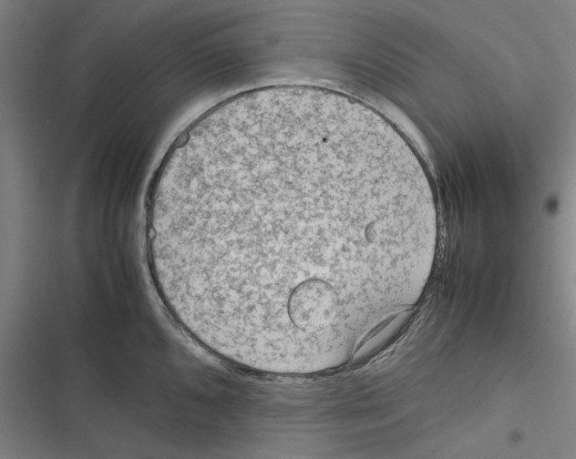 X0000116311096201001111133