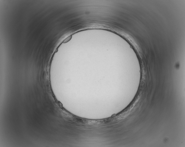 X0000116311097201001111133