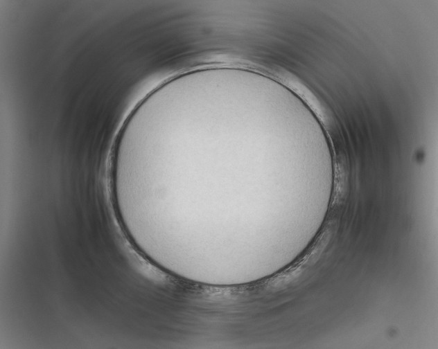 X0000116311098201001111133