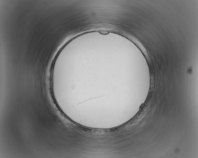 X0000116311099201001111133