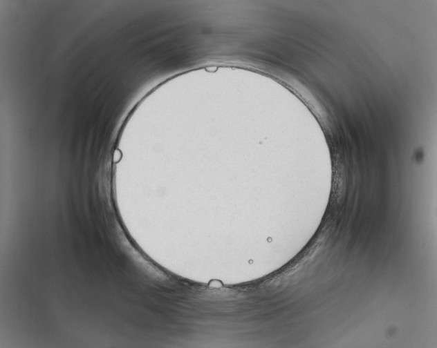 X0000116311100201001111133