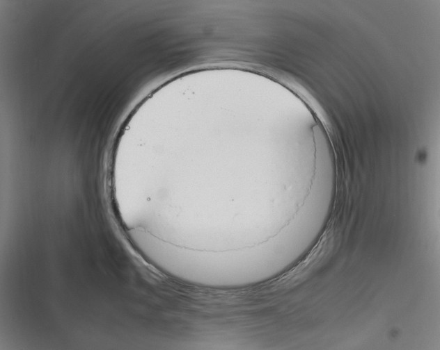 X0000116311101201001111133