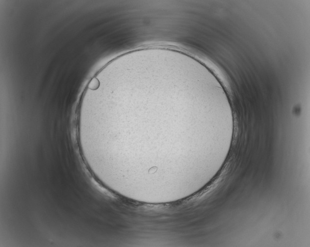 X0000116311102201001111133