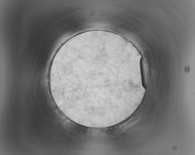 X0000116311104201001111133