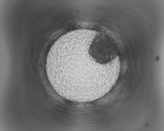 X0000116311105201001111132