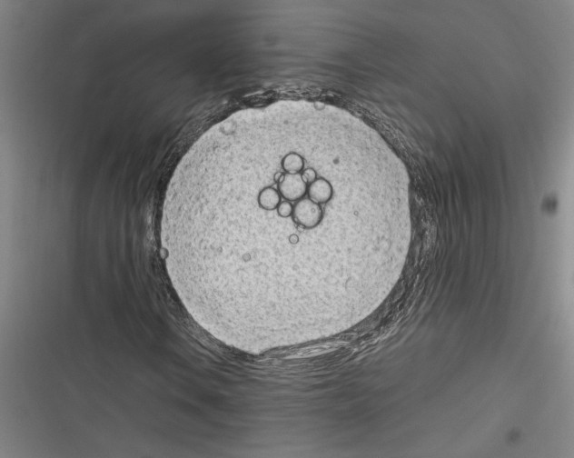 X0000116311106201001111132