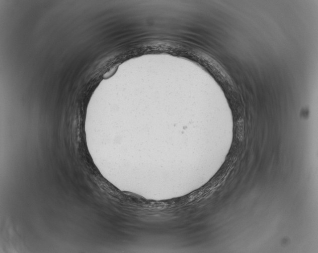 X0000116311111201001111132