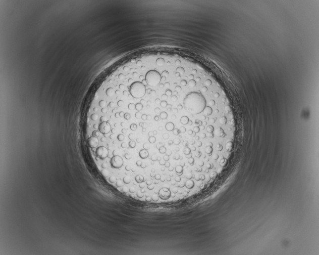 X0000116311113201001111132