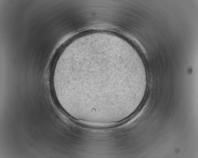 X0000116311114201001111132