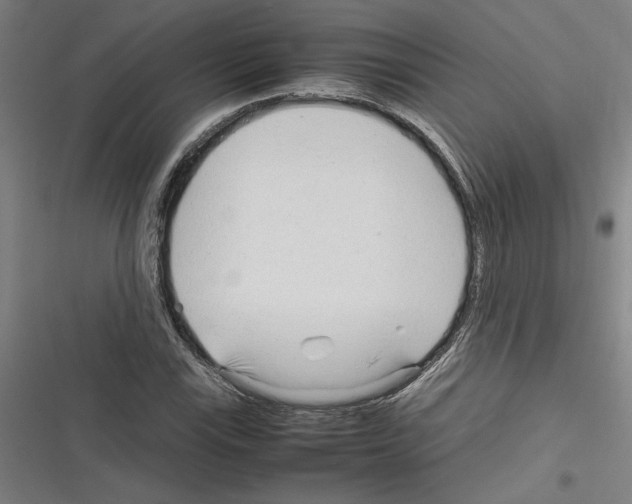 X0000116311115201001111132