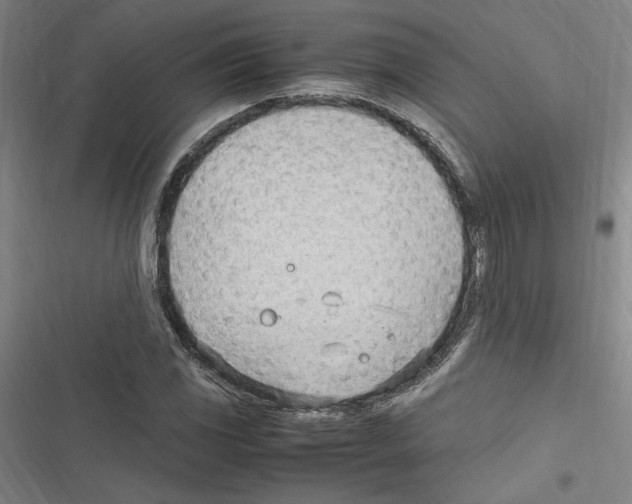 X0000116311117201001111132