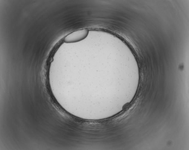 X0000116311119201001111132