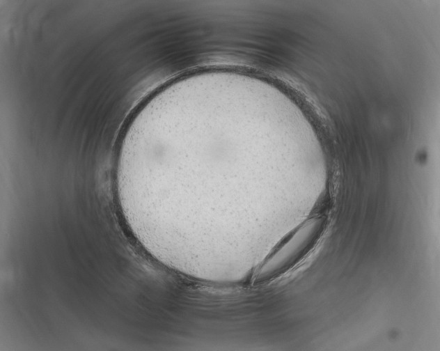 X0000116311121201001111132