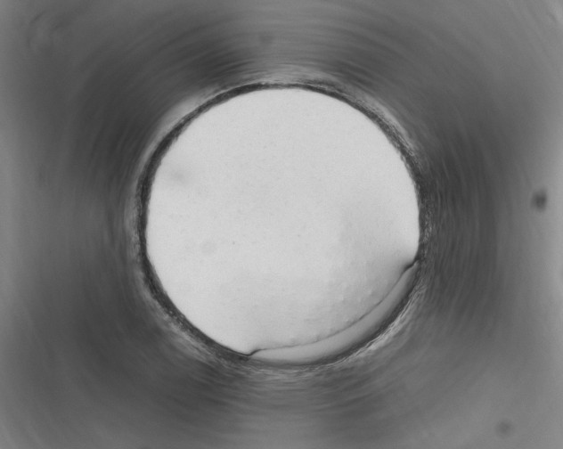 X0000116311122201001111132