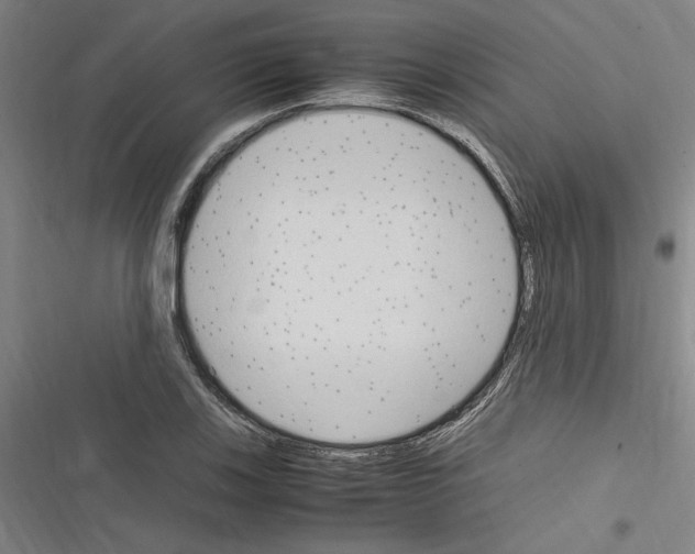 X0000116311123201001111133