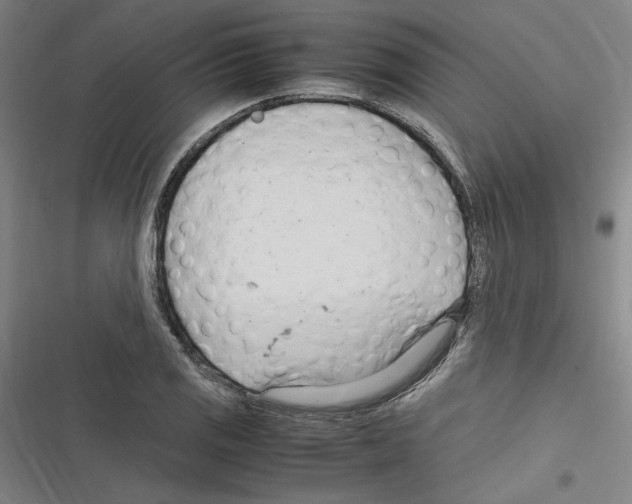 X0000116311125201001111133