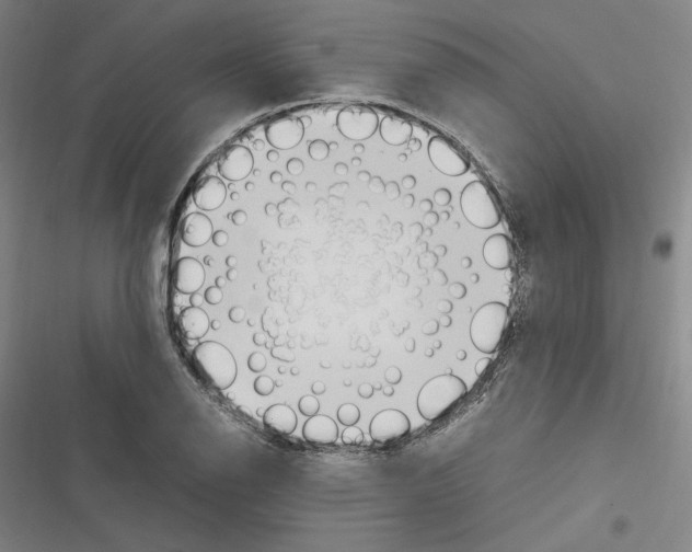 X0000116311126201001111133