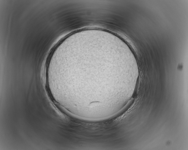 X0000116311127201001111133