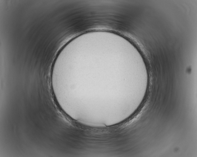 X0000116311129201001111133