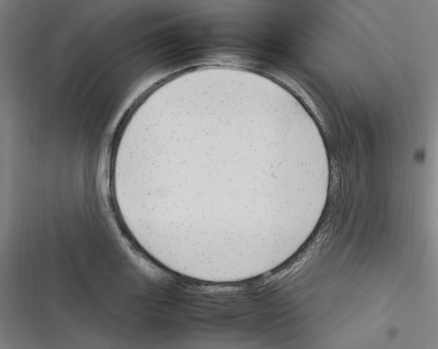 X0000116311131201001111133