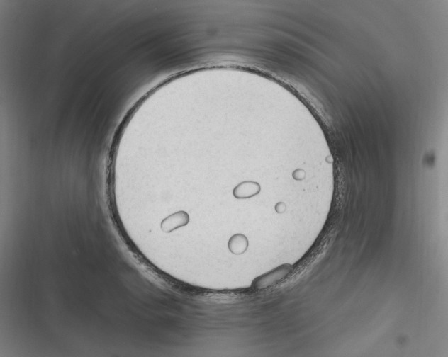 X0000116311134201001111133