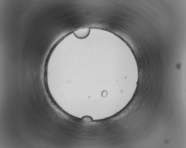 X0000116311135201001111133