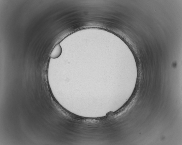 X0000116311137201001111133