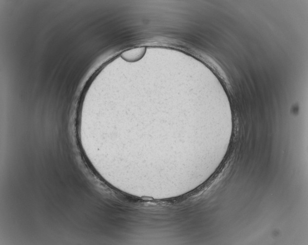 X0000116311138201001111133