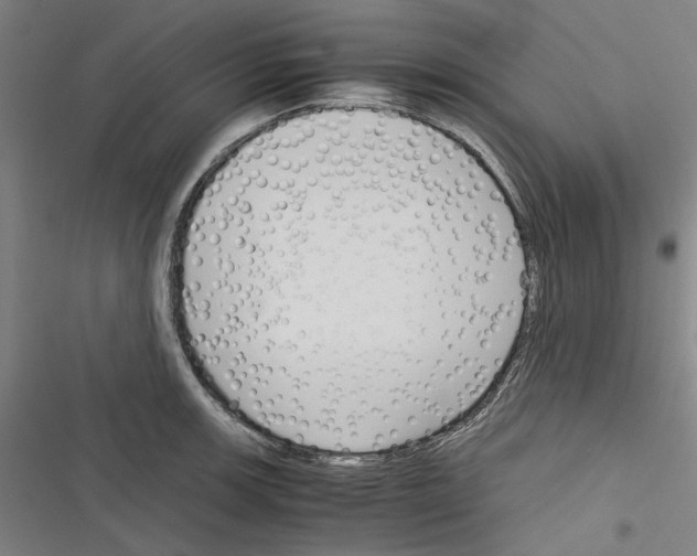 X0000116311139201001111133