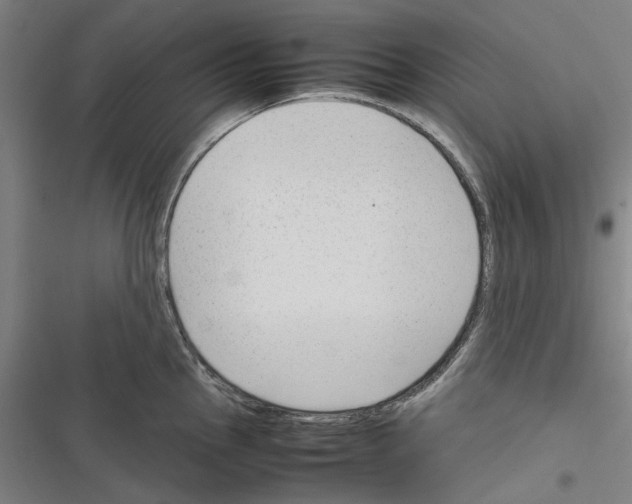 X0000116311145201001111133