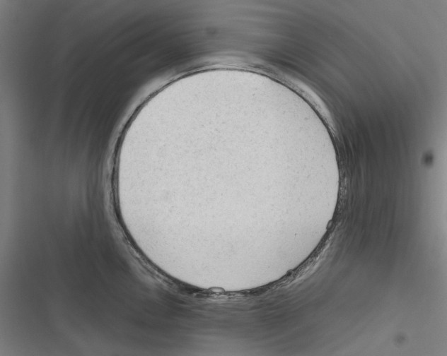 X0000116311146201001111133