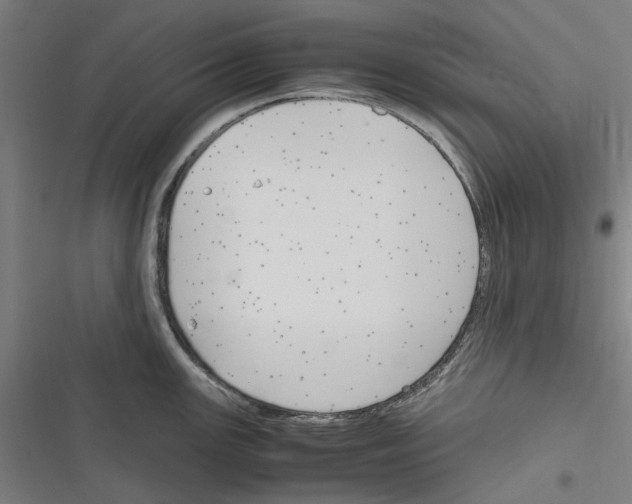 X0000116311147201001111133