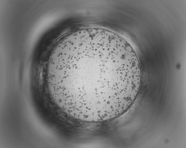 X0000116311150201001111133