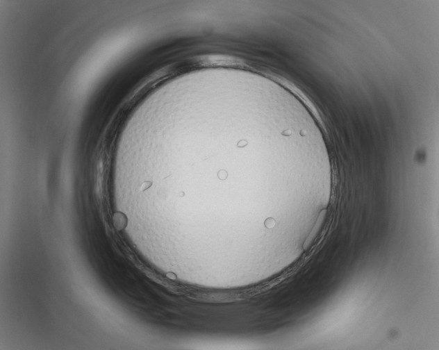 X0000116311151201001111133