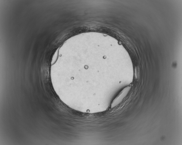 X0000116311155201001111132