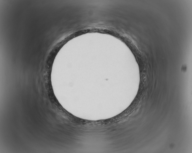 X0000116311159201001111132