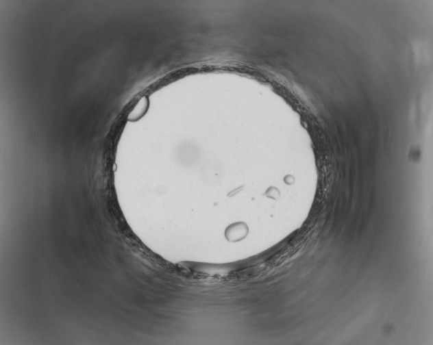 X0000116311160201001111132